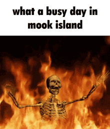 Mook Island Skeleton GIF - Mook Island Mook Skeleton GIFs