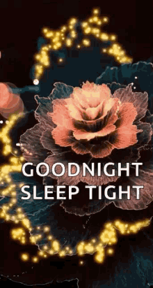 Sleep Tight Good Night GIF - Sleep Tight Good Night Flowers GIFs