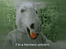 upright citizens brigade ucb hornless unicorn