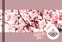 Sakura Ph GIF - Sakura Ph GIFs