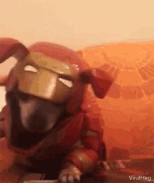 viralhog iron dog dog iron man cosplay viralhog iron dog dog iron man cosplay