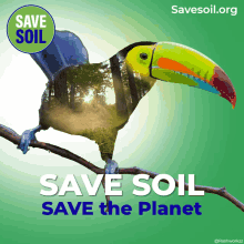 Save Soil Save Soil Movement GIF - Save Soil Save Soil Movement Toucan GIFs