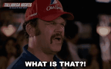 What Is That John C Reilly GIF - What Is That John C Reilly Talladega Nights GIFs