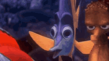 Shocked Fish GIF - Shocked Fish Finding Nemo GIFs
