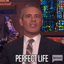 Perfect Life Andy Cohen GIF - Perfect Life Andy Cohen Watch What Happens Live GIFs