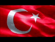 Turkey Flag Turkish GIF - Turkey Flag Turkish GIFs