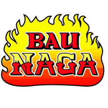 flames naga