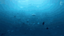 swimming turtle nat geo wild underwater sea turtle in the deep ocean just keep swimming swimming turtle nat geo wild underwater sea turtle in the deep ocean just keep swimming