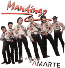 mandingo