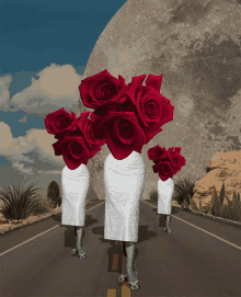 Bouquet Of Roses Flowers For You GIF - Bouquet Of Roses Flowers For You Walking Bouquet GIFs