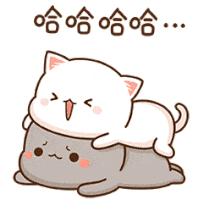 Cute Cat Sticker - Cute Cat Laughing Stickers