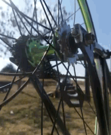 cycling bicycle wheel cycle
