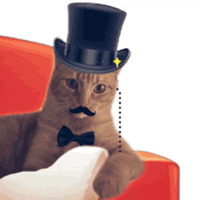Monsieur Cat GIF - Monsieur Cat Aristocat GIFs