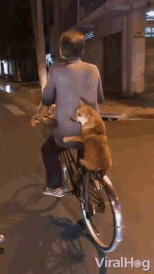 Ride Along Doggie GIF - Ride Along Doggie On My Way GIFs