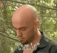 เหม่ง หัวล้าน เหน่ง GIF - Shiny Forehead Bald GIFs