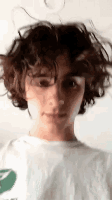 timothee chalamet selfie woke up like this timothee chalamet selfie woke up like this