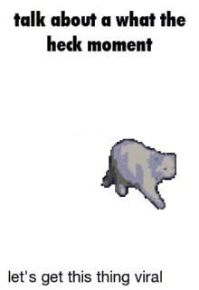 What The Heck Moment Viral GIF - What The Heck Moment Viral How GIFs
