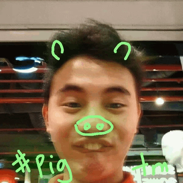 Pig Draw GIF Pig Draw Filter Discover & Share GIFs