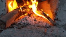 fuego fogatas