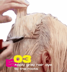 hair dye parlor salon hair brush