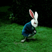 Rabbit Alice In Wonderland GIF - Rabbit Alice In Wonderland The White Rabbit GIFs