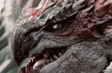 rathalos rathalos head moving rathalos head rathalos rathalos head moving rathalos head