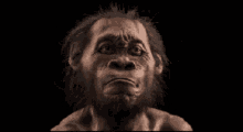 Caveman GIF - Caveman GIFs