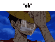 Ok Meme GIF - Ok Meme Luffy GIFs