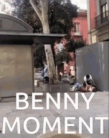 Benny Moment GIF - Benny Moment Benny GIFs