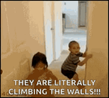 Climbing The Wall Kids GIF - Climbing The Wall Kids Drop GIFs