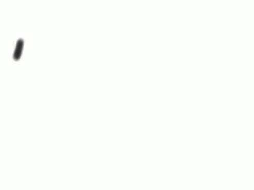 Hello Text GIF - Hello Text Animation - Discover & Share GIFs