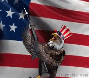 freedom-america.gif