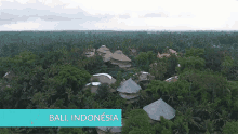 Bali Menos1lixo GIF - Bali Menos1lixo Fe Cortez Em Bali GIFs