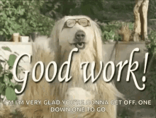 dog goodwork