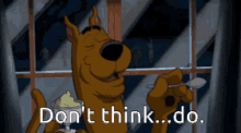 advice to