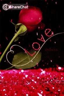 Love Rose GIF - Love Rose I Love You GIFs