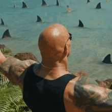 King Of The Sharks Dwayne Johnson GIF - King Of The Sharks Dwayne Johnson The Rock GIFs