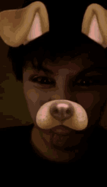 Andres Snapchat GIF - Andres Snapchat Doggie GIFs