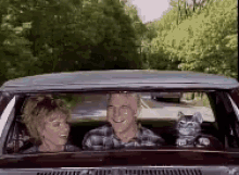 Toonces Cat Driving GIF - Toonces Cat Driving - Discover &amp; Share GIFs