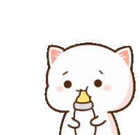 Peachcat Cats Sticker - Peachcat Cat Cats Stickers