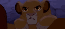 angry lion