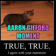 Aaron Aaron Gifford GIF - Aaron Aaron Gifford Aaron Gifford Moment GIFs