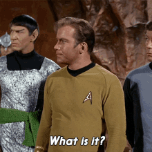 What Is It What Happened GIF - What Is It What Happened Captain Kirk GIFs