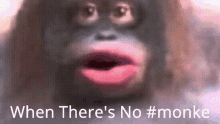 Monke Monkey GIF - Monke Monkey Frown GIFs