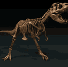 Dino Spin GIF - Dino Spin Dinosaur Skeleton GIFs
