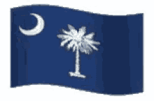 South Carolina Flag GIF - South Carolina Flag GIFs