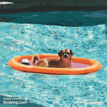 Dog Pool GIF - Dog Pool Service GIFs