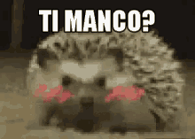 ti manco do you miss me missing me ti manco do you miss me missing me