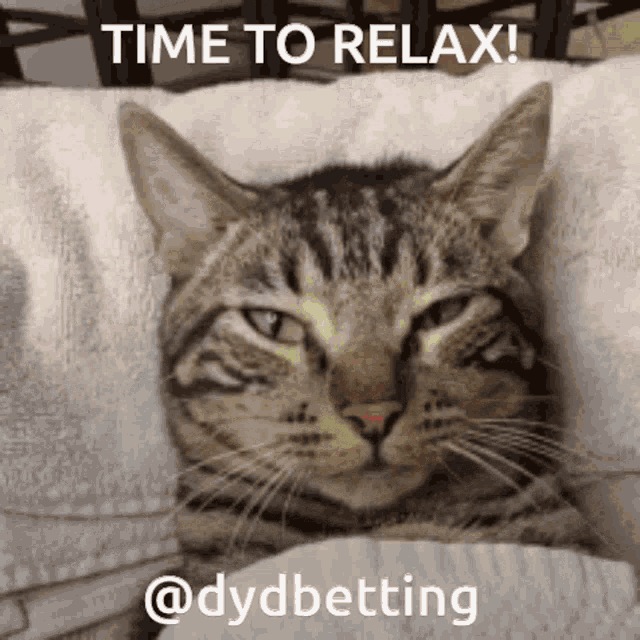 Relaxing Chill GIF - Relaxing Chill Dyd GIFs