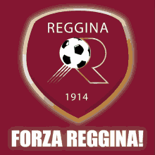 Football Reggina GIF - Football Reggina Reggina1914 GIFs